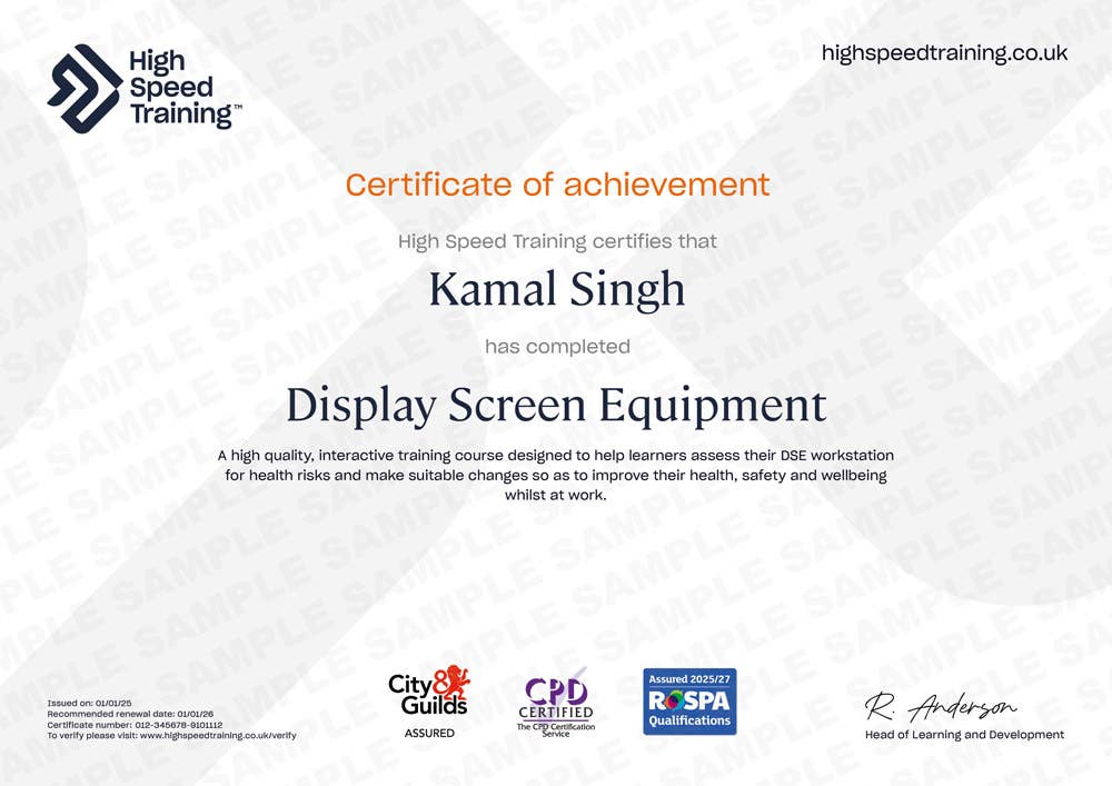 Sample Display Screen Equipment certificate