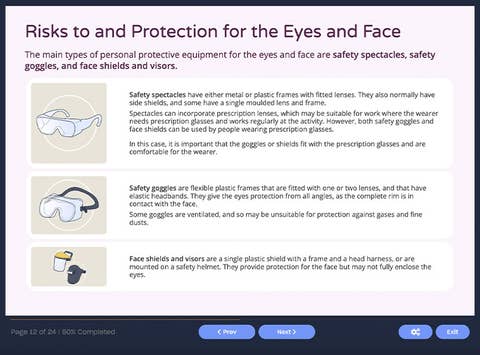 Course screenshot showing risks to and protection for the eyes and face