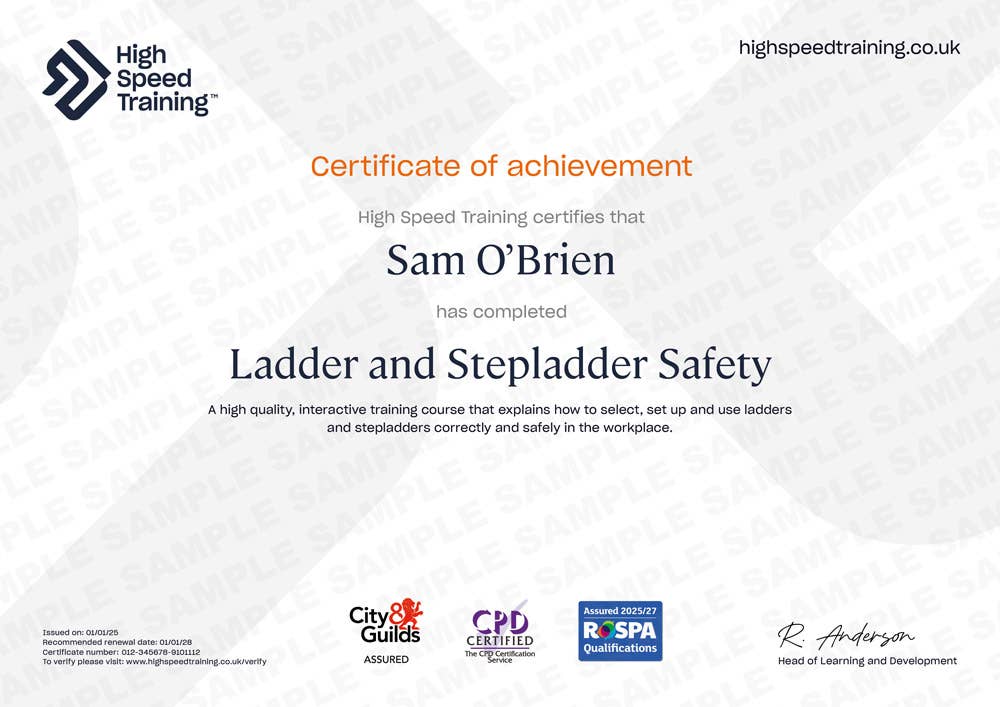 Sample Ladder and Stepladder Safety certificate