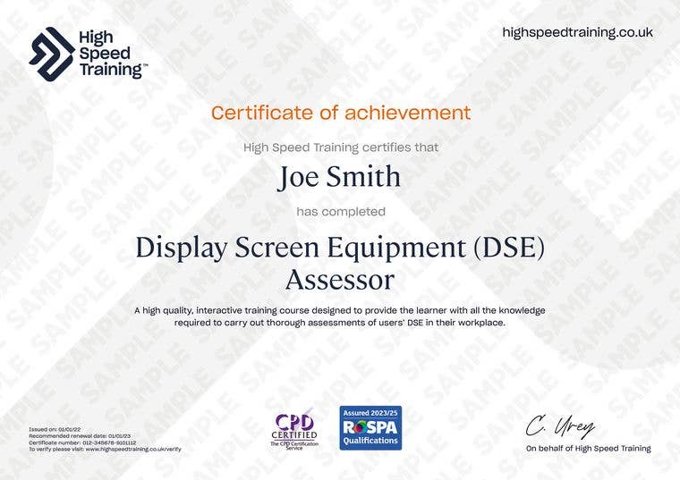 Display Screen Equipment Assessor - Example Certificate