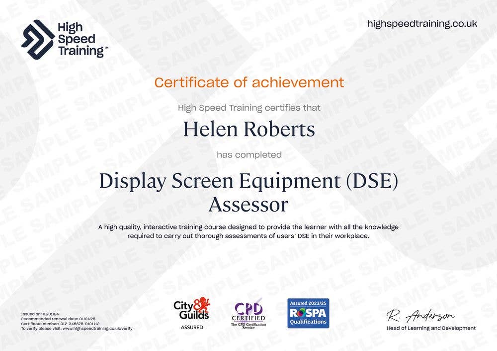 Display Screen Equipment Assessor - Example Certificate