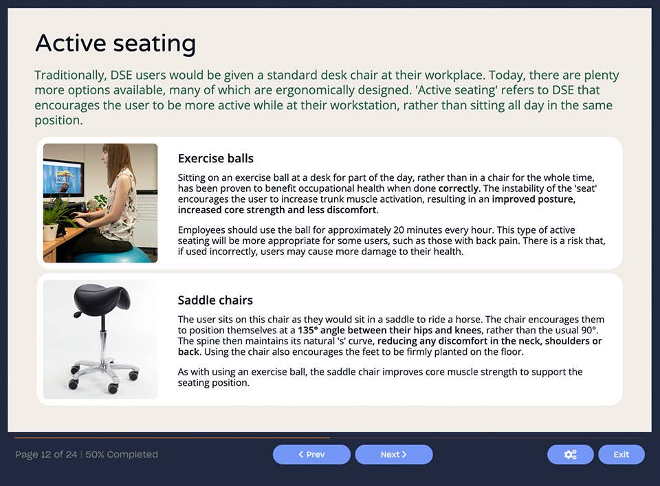 Screenshot 01 - Online Display Screen Equipment (DSE) Assessor Training Course