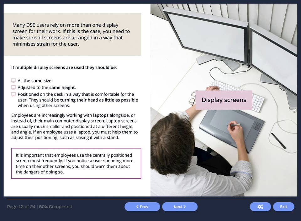 Screenshot 02 - Online Display Screen Equipment (DSE) Assessor Training Course