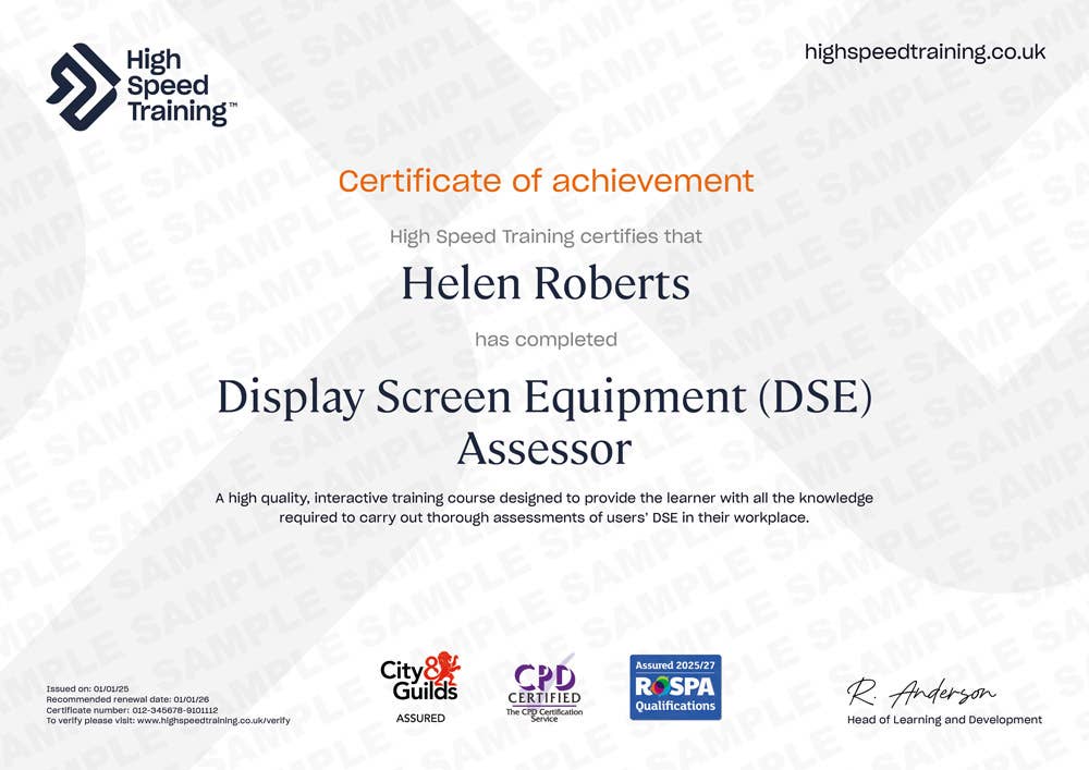 Sample Display Screen Equipment (DSE) Assessor certificate