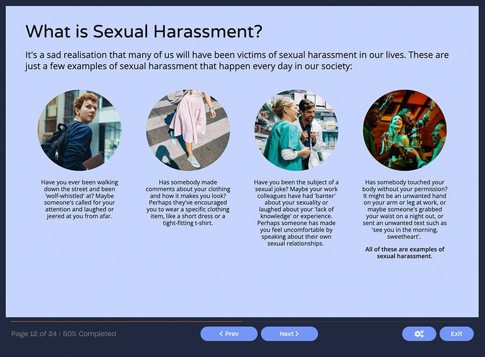 Couse screenshot explain what sexual harassment is
