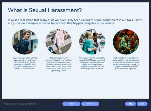 Couse screenshot explain what sexual harassment is