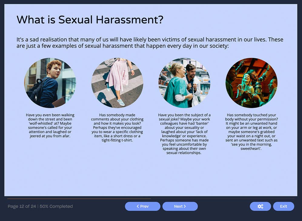 Couse screenshot explain what sexual harassment is