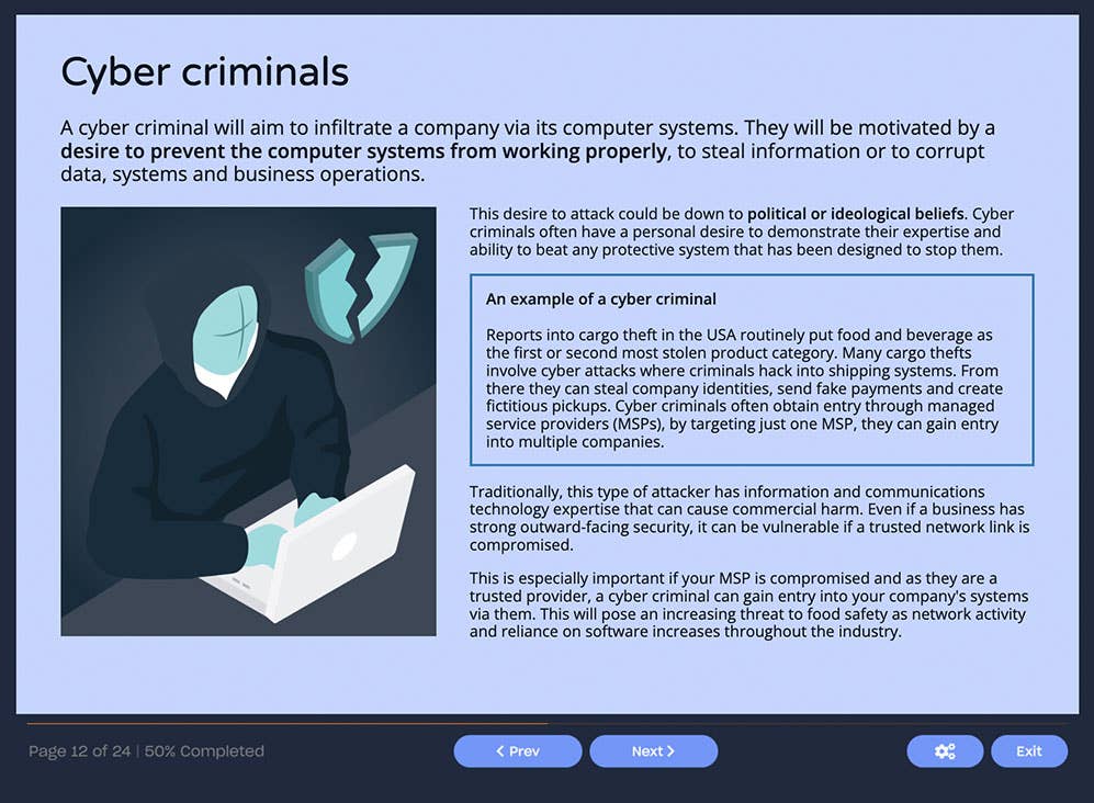 Course screenshot showing cyber criminals