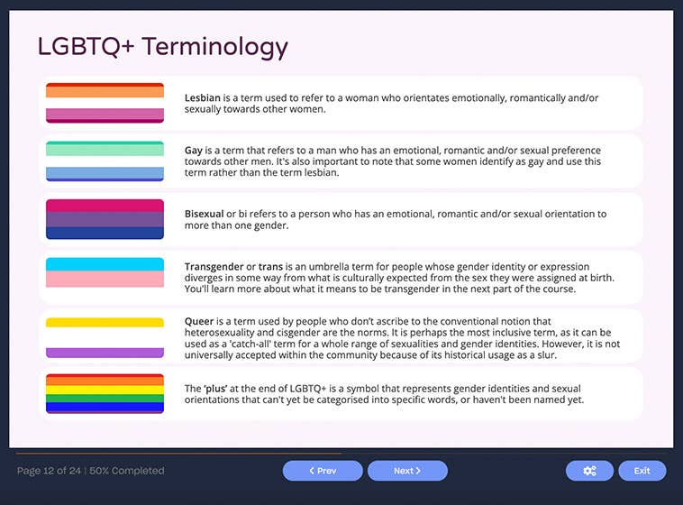 Course screenshot showing LGBTQ+ Terminology