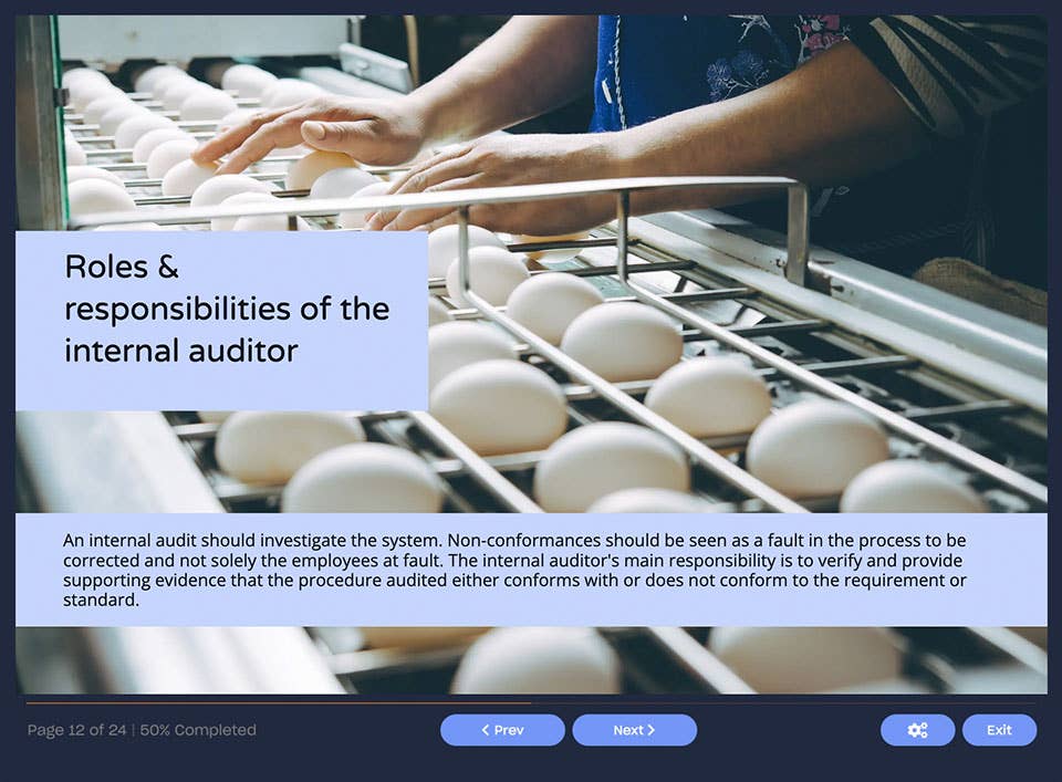 Internal Auditing Screenshot 2