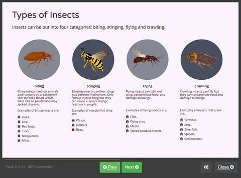 Course screenshot showing different types of insects
