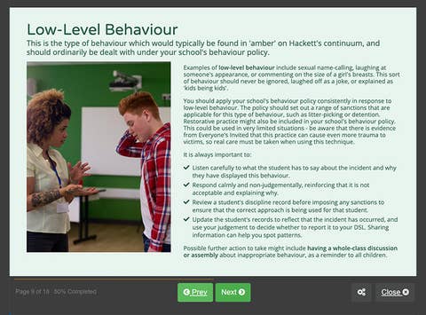 Course screenshot showing low-level behaviour